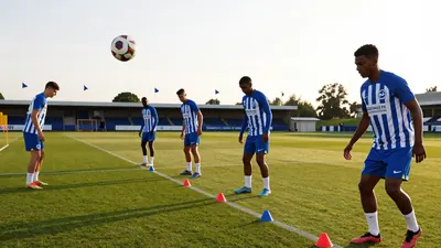 What's Next for Brighton & Hove Albion in Europe?