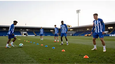 Brighton & Hove Albion complete €5m Svoboda signing